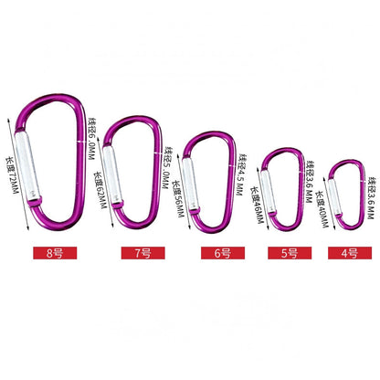 Carabiner with ring