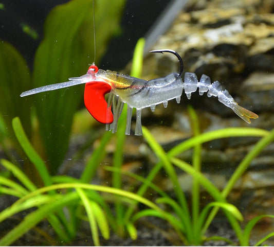 Lead head Live shrimp lure